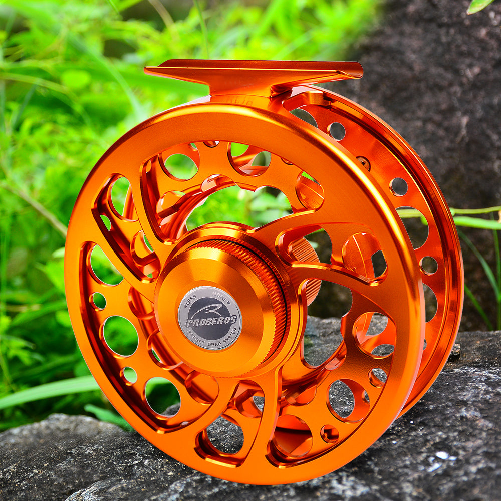 Summer Fishing Tips: 7 Proven Hacks to Stop Blank Catches & Boost Your Success Rate