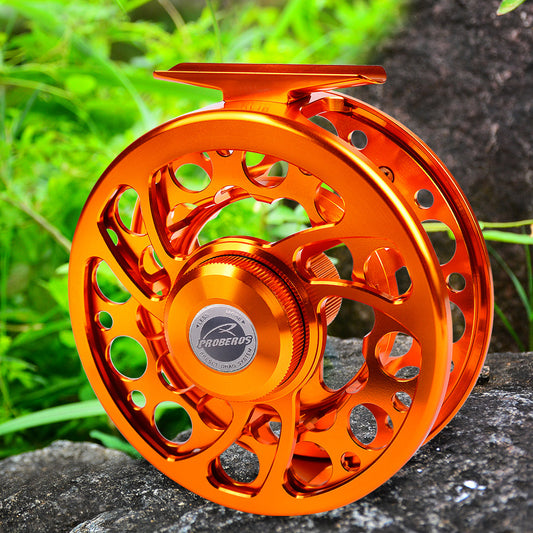 Summer Fishing Tips: 7 Proven Hacks to Stop Blank Catches & Boost Your Success Rate